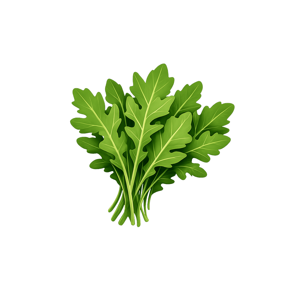 Rucola (rå): 25 kcal (105 kJ), Protein 2.58g, Kulhydrater 3.65g, Fedt 0.66g per 100g