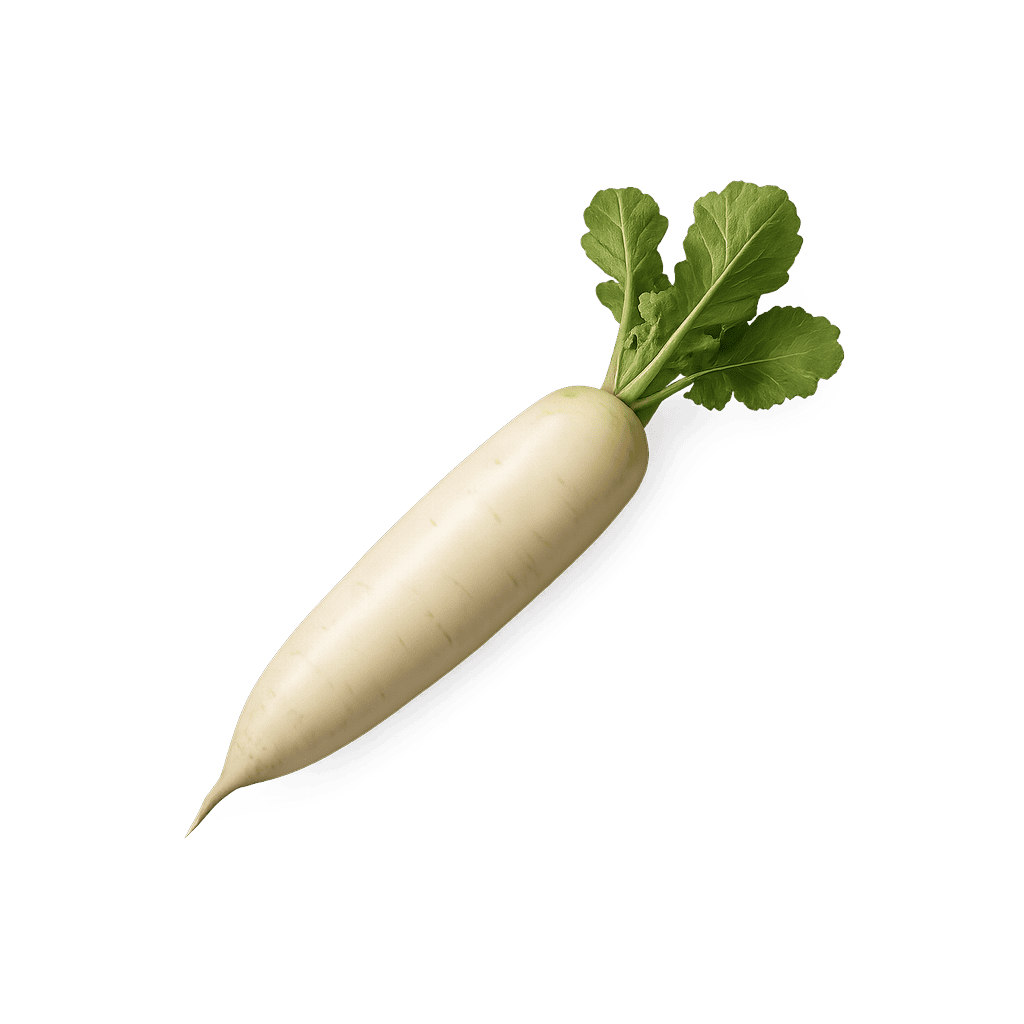 Daikon: 18 kcal (75 kJ), Bielkoviny 0.6g, Sacharidy 4.1g, Tuky 0.1g na 100g