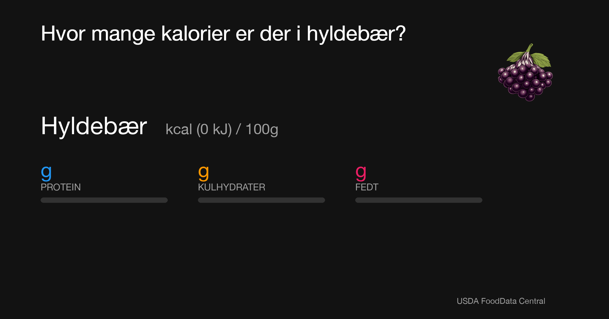 Hyldebær:  kcal (0 kJ), Protein g, Kulhydrater g, Fedt g per 100g
