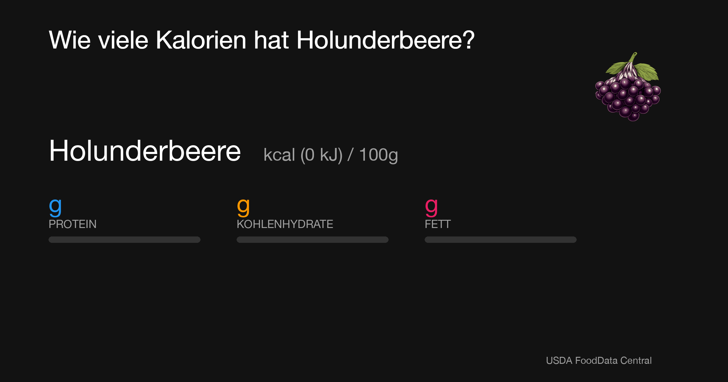 Holunderbeere:  kcal (0 kJ), Protein g, Kohlenhydrate g, Fett g pro 100g