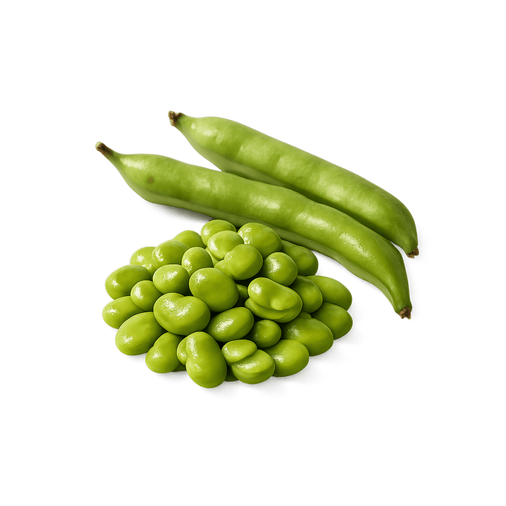 Fava Beans: 110 kcal (460 kJ), Protein 7.6g, Carbs 19.65g, Fat 0.4g per 100g