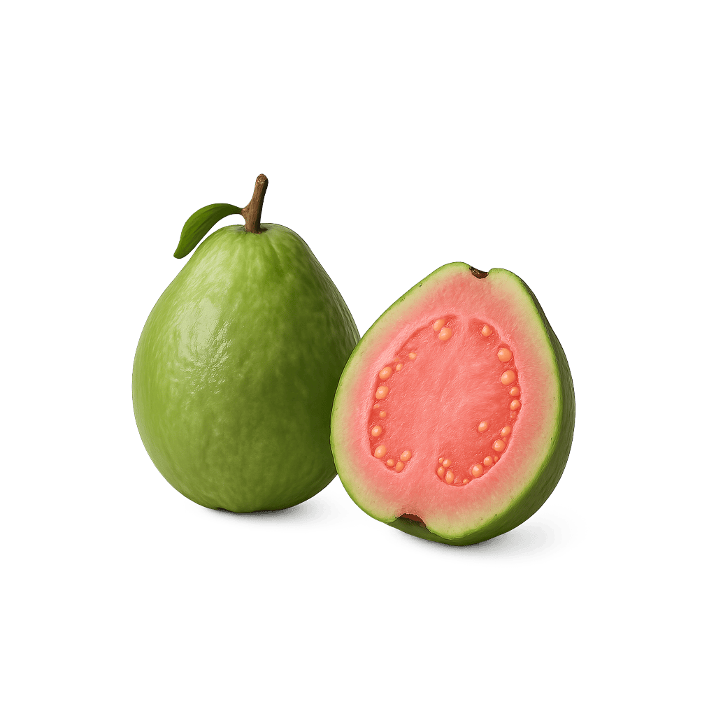 Guava