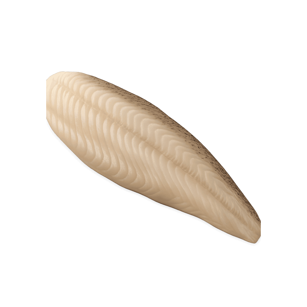 Alaskanseiti