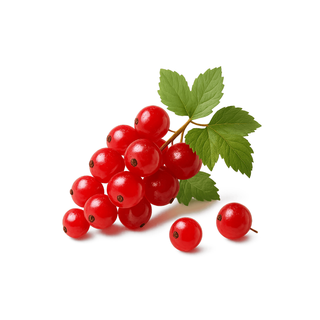 Red Currants: 56 kcal (234 kJ), Protein 1.4g, Carbs 13.8g, Fat 0.2g per 100g