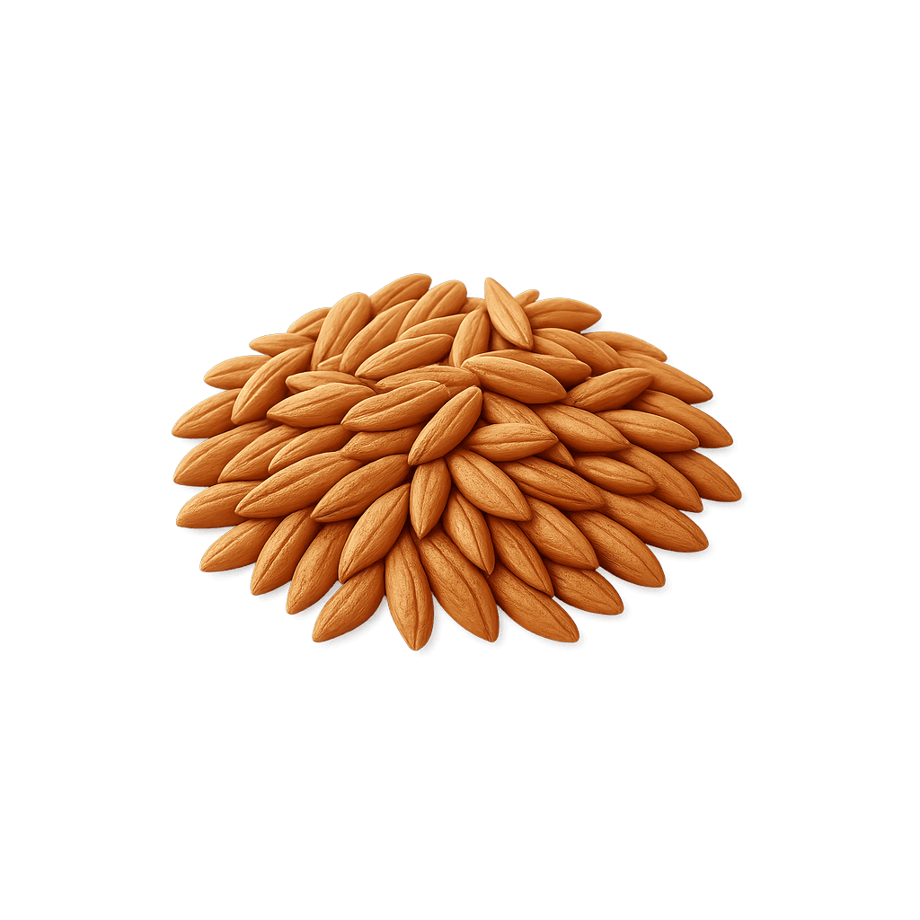 Speltti