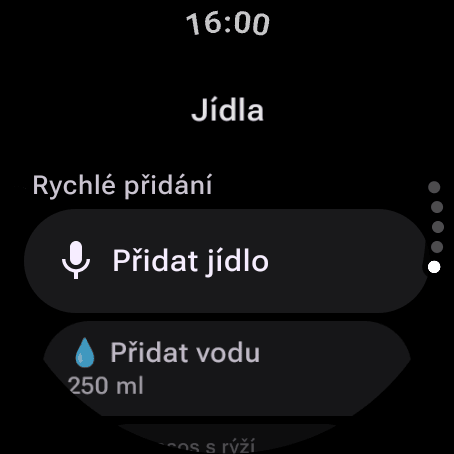 Stránka Jídla na Wear OS: Přidat jídlo hlasem nebo klávesnicí, Přidat vodu a oblíbená jídla v Rychlém přidání